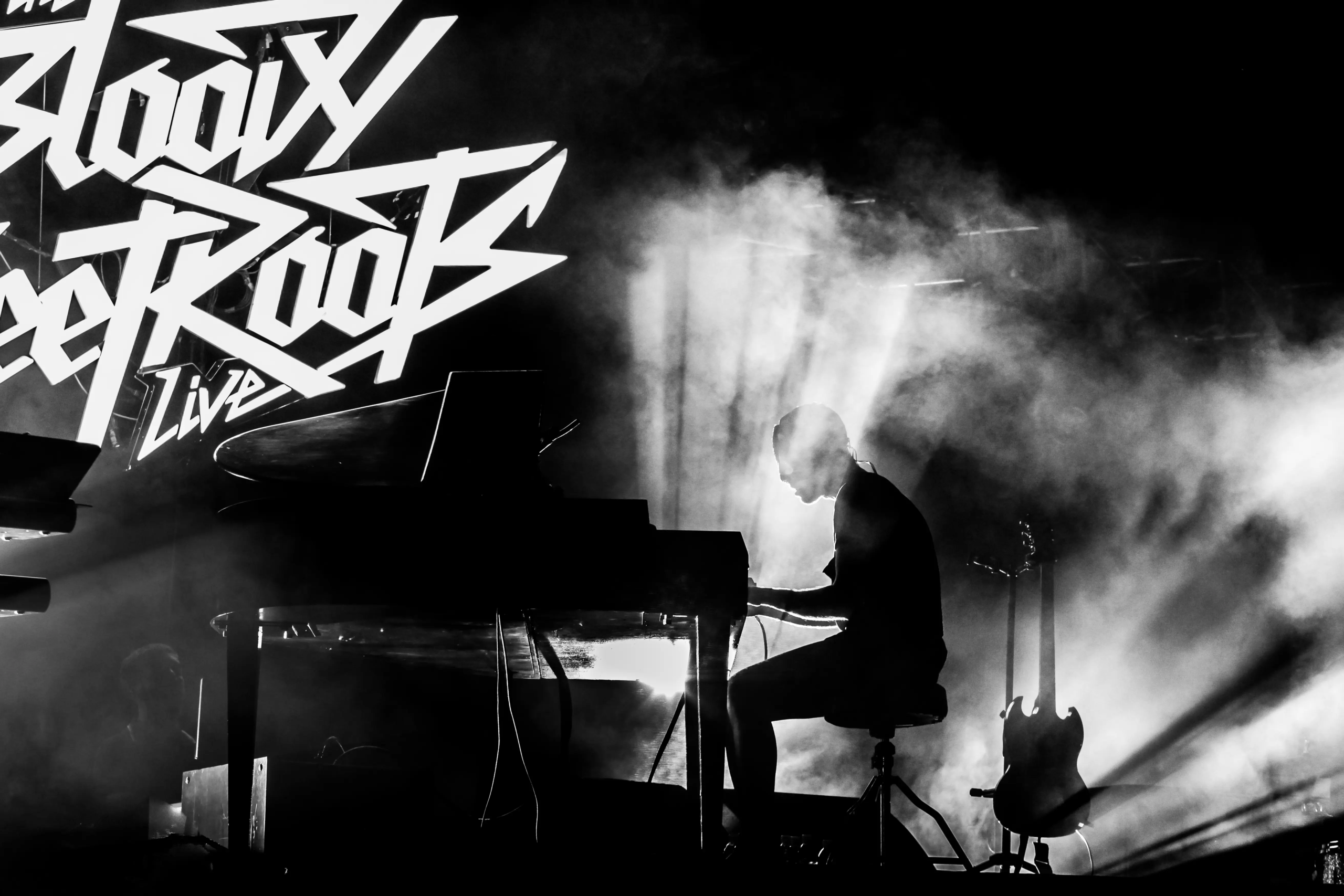 The Bloody Beetroots a Milano scattata dal fotografi di concerti bruno garreffa